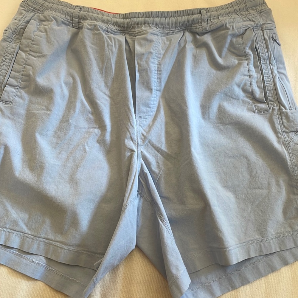 Fart Garfunkels Bird dogs men's light blue shorts, 7 inch inseam